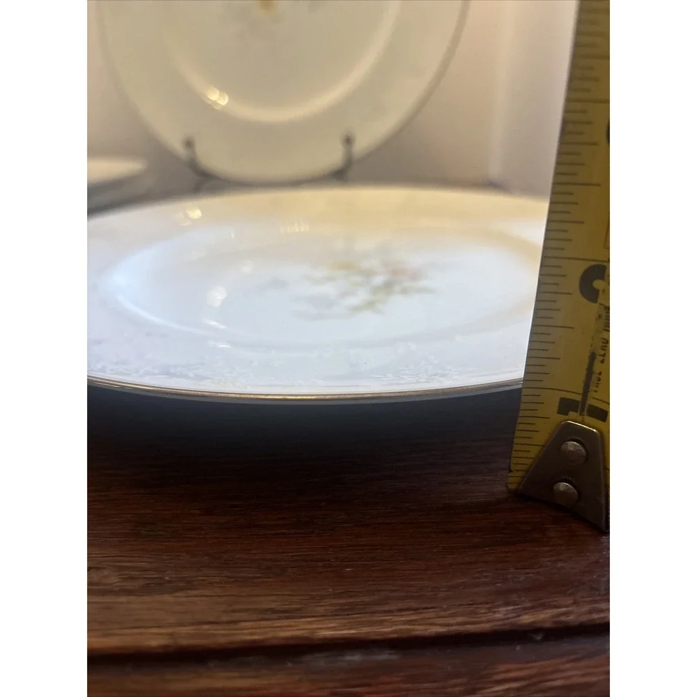 Noritake Anticipation 10.5